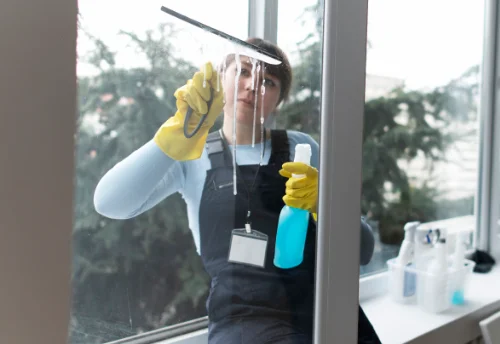 Nettoyage de vitres intérieures et extérieures à Uchizy